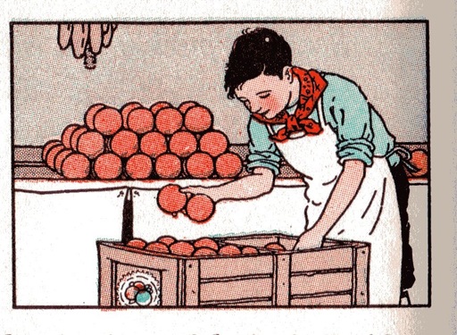 [boy stacking oranges]