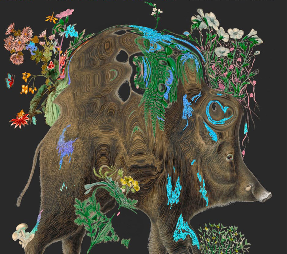 A boar, distorted as if through a strange lens or other effect, with colorful flowers, lichen, ferns, and fungi growing out of or into it.  The overall effect is mysterious or dreamlike, in an uncanny zone between creepy and comforting.